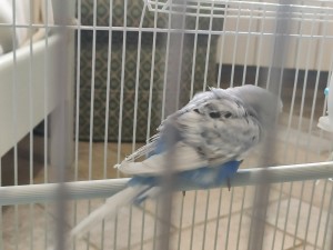 IMG_20210420_184550.jpg