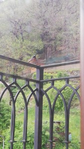 IMG_20210426_080105.jpg