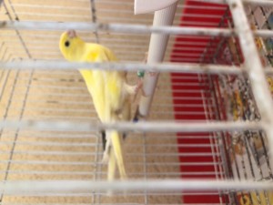 0682BB10-217B-42FD-95AF-A6D7E11FF330.jpeg