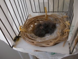 DSCN1353.JPG