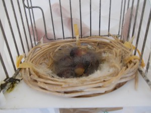 DSCN1355.JPG