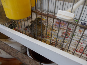 DSCN1409.JPG