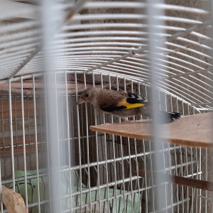 2021-07-18 13.29.37.jpg