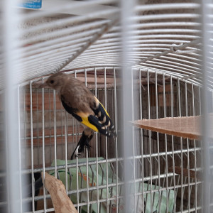 2021-07-18 13.29.58.jpg