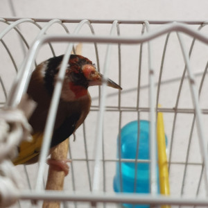 Ho cercato di fare la foto nel migliore dei modi