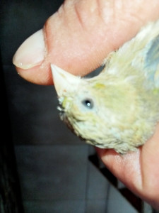 IMG20210817185249.jpg