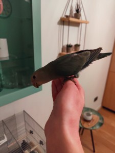 IMG20220221192526.jpg