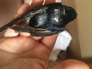 WhatsApp Image 2022-05-06 at 12.14.50.jpeg