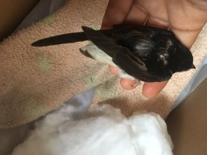 WhatsApp Image 2022-05-06 at 12.14.49.jpeg