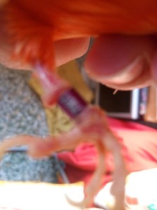 IMG_20221219_093504.jpg