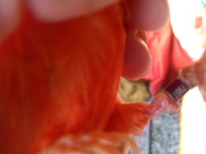IMG_20221219_093502.jpg