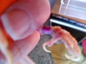 IMG_20221219_093535.jpg