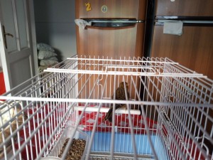 IMG_20230115_101653.jpg