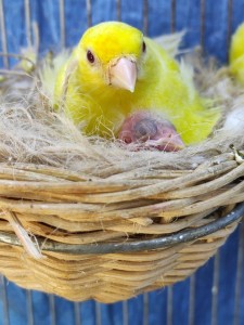 IMG_20230418_120936.jpg