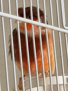 20230425_122130.jpg