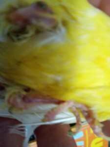 IMG_20230617_204234.jpg