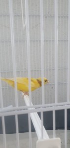 IMG-20230813-WA0004.jpg