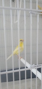 IMG-20230813-WA0002.jpg