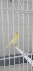 IMG-20230813-WA0001.jpg