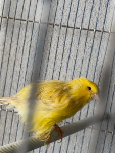 IMG_0932.jpeg