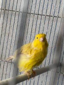 IMG_0932.jpeg