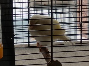 IMG_20240213_100137.jpg