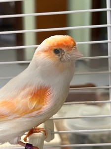 IMG_4568.jpeg